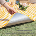Tappeto Portatile Resistente all'Umidità per Campeggio, Picnic e Spiaggia