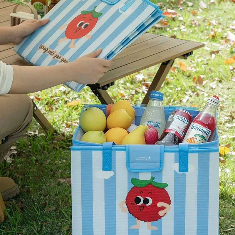 2-in-1 Insulated Foldable Picnic Bag & Mat
