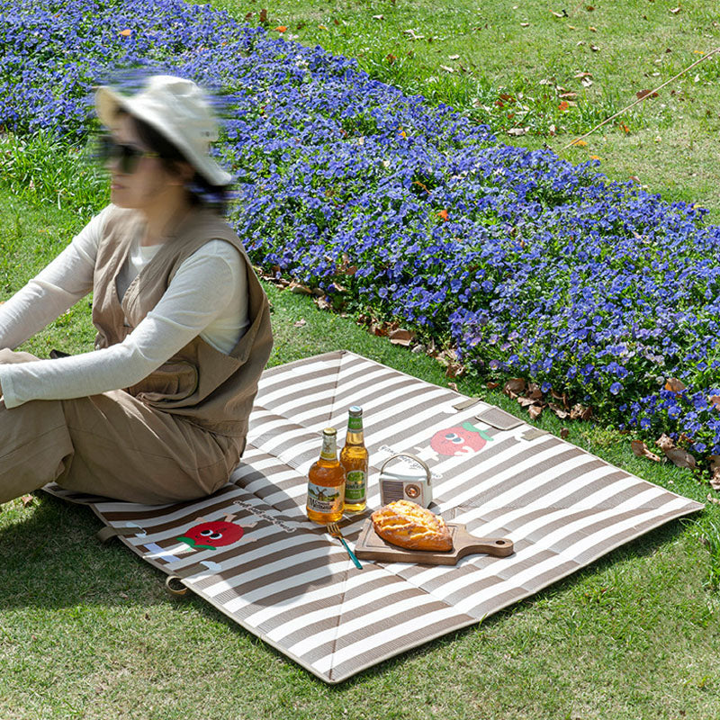 2-in-1 Insulated Foldable Picnic Bag & Mat