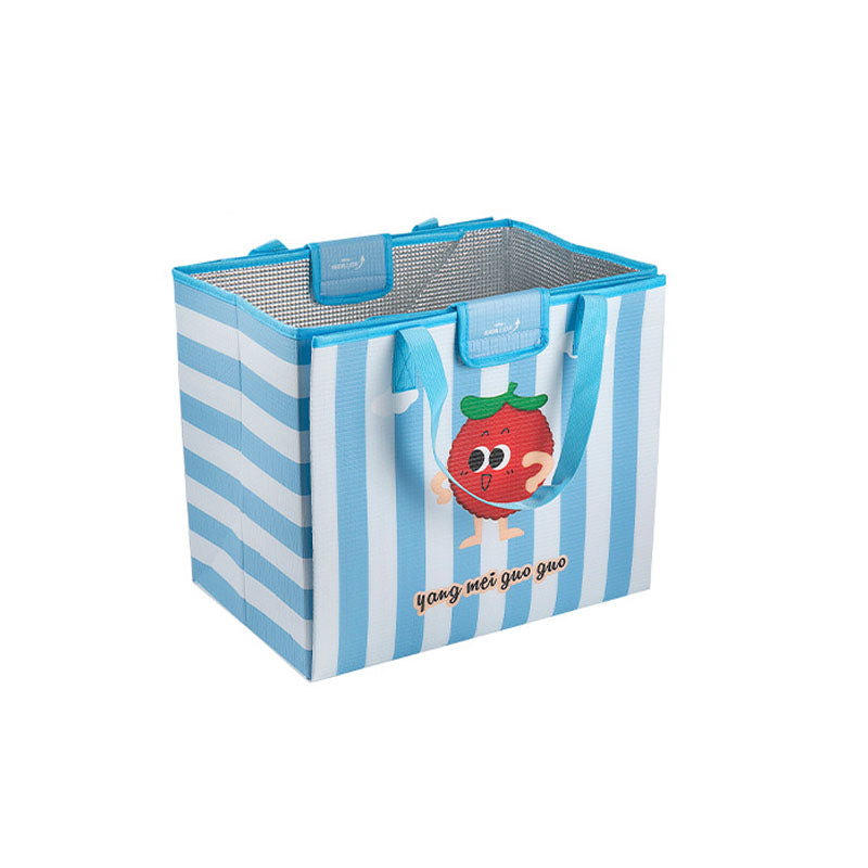 2-in-1 Insulated Foldable Picnic Bag & Mat